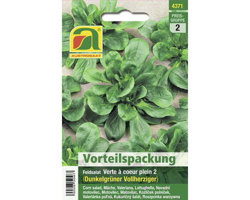 Feldsalat-Saatgut der Sorte Dunkelgrüner Vollherziger in einer Vorteilspackung