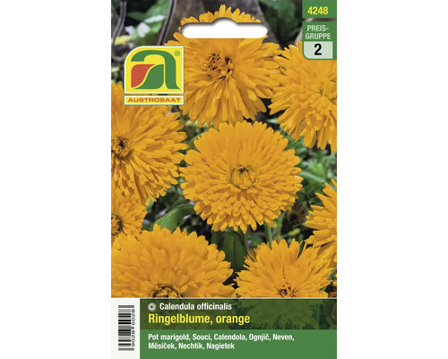 Orange Ringelblume Calendula officinalis Samenpackung