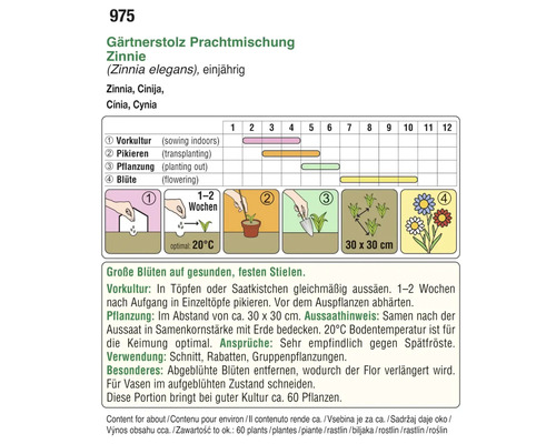 Anleitung zur Aussaat von Zinnien