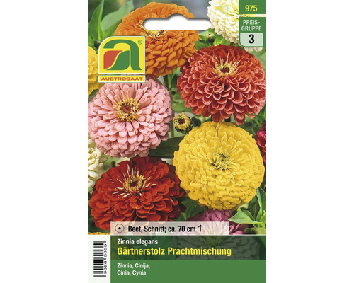 Zinnien Gärtnerstolz Prachtmischung Samenpackung