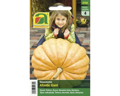 Riesenkürbis Atlantic Giant Samenpackung mit Kind