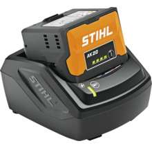Stihl Ladegerät mit AK 20 Akku