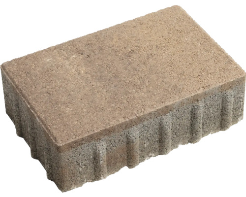 Einzelner Pflasterstein