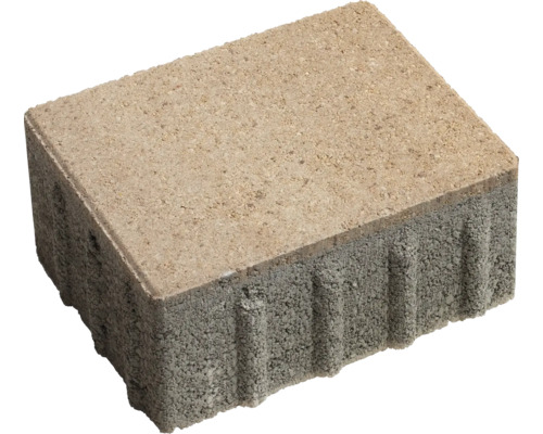 Pflasterstein aus Beton