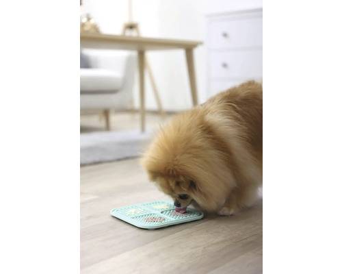 Ein Hund leckt Futter von einer interaktiven Futtermatte.