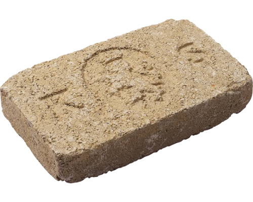 Einzelner Pflasterstein aus Beton