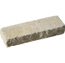 Pflasterstein aus Beton