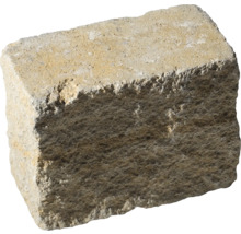 Einzelner Pflasterstein
