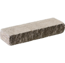 Ein einzelner Betonpflasterstein