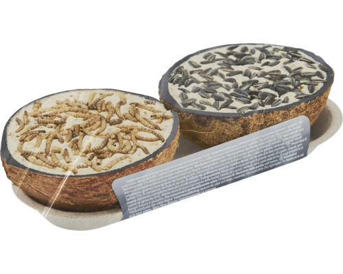 Halbierte Kokosnussschalen gefüllt mit Mehlwürmern und Sonnenblumenkernen als Vogelfutter