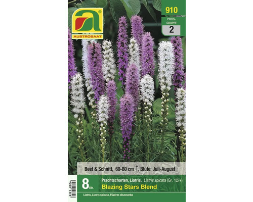 Verpackung Prachtscharten Liatris spicata Blazing Stars Blend, Beet- und Schnittblume, 60 bis 80 cm hoch