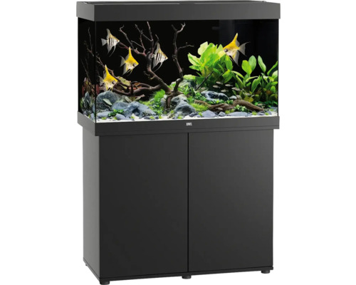 Aquariumkombination JUWEL Rio 290 SBX mit LED-Beleuchtung, Heizer, Filter und Unterschrank schwarz, ca. 101 x 51 x 146 cm, ca. 290 L Aquarium mit Unterschrank, Fische, Pflanzen, Steine und Dekoration