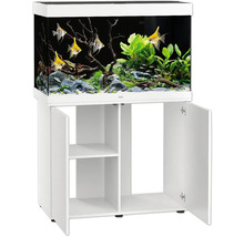 Komplettes Aquarium mit Schrank und tropischen Fischen