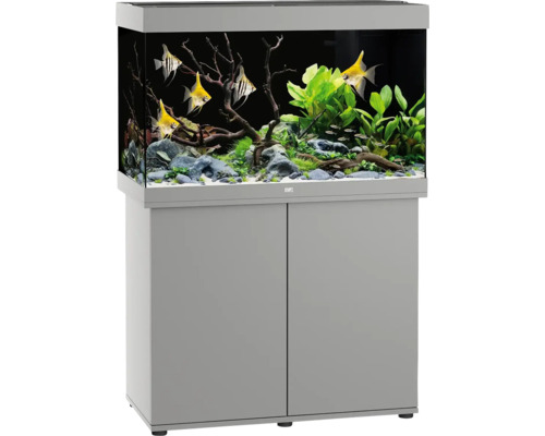 Aquariumkombination JUWEL Rio 290 SBX mit LED-Beleuchtung, Heizer, Filter und Unterschrank grau, ca. 101 x 51 x 146 cm, ca. 290 L Aquarium-Kombination mit Unterschrank, bepflanzt und mit Fischen