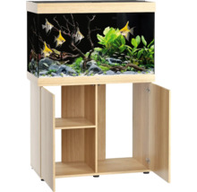 Komplettes Aquarium mit Fischen, Pflanzen und Unterschrank