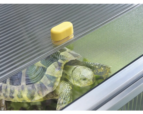 Detailaufnahme eines Schildkrötenhauses mit Schildkröte, transparenter Abdeckung, Netz und gelbem Verschluss