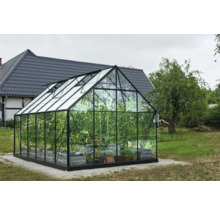 Gewächshaus mit Pflanzen im Garten