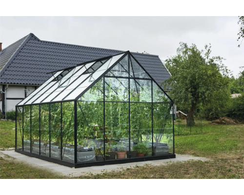 Gewächshaus mit Pflanzen im Garten
