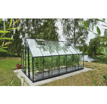 Gewächshaus mit Pflanzen im Garten