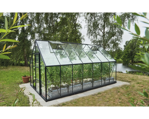 Gewächshaus mit Pflanzen im Garten