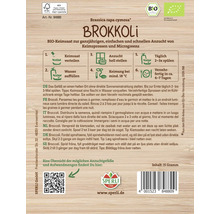Brokkoli Keimsaat für Keimsprossen und Microgreens
