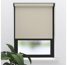 Fenster mit Rollo und Pflanze