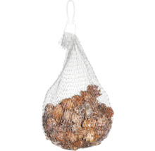 Zapfen in einem Netz