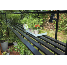 Gewächshaus mit Regalen und verschiedenen Pflanzen auf einem Metalltablett