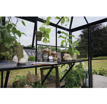 Gewächshausinneneinrichtung mit Pflanzen, Töpfen und Gartenzubehör auf Regalen