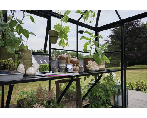 Gewächshausinneneinrichtung mit Pflanzen, Töpfen und Gartenzubehör auf Regalen