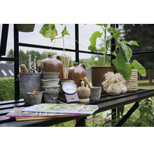 Einrichtung eines Gewächshauses mit Gartengeräten, Pflanztöpfen und Dekorationsartikeln auf einem Regal.