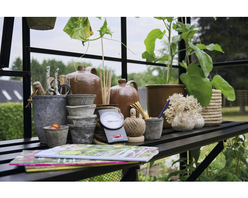 Einrichtung eines Gewächshauses mit Gartengeräten, Pflanztöpfen und Dekorationsartikeln auf einem Regal.