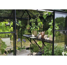 Gewächshaus mit Pflanzen, Regalen und Gartenzubehör für den Gartenbau