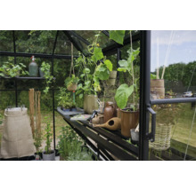 Gewächshaus mit Pflanzen, Töpfen und Gartenzubehör auf Regalen.