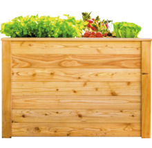 Hochbeet aus Holz mit Salat und Radieschen