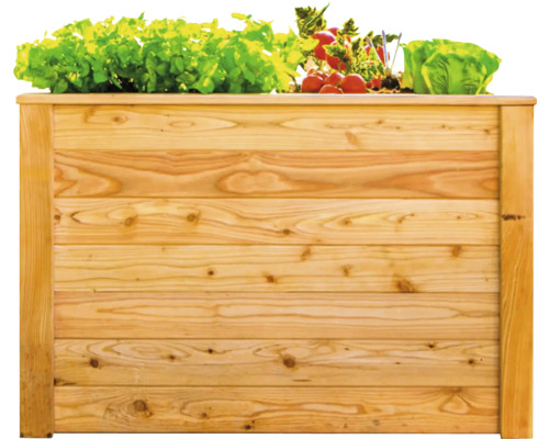 Hochbeet aus Holz mit Salat und Radieschen