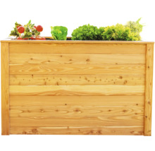 Hochbeet aus Holz mit Tomaten und Salat bepflanzt