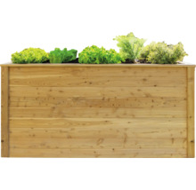 Hochbeet aus Holz mit Salat bepflanzt