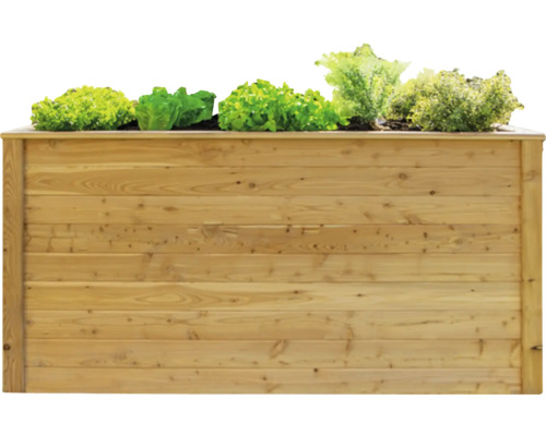 Hochbeet aus Holz mit Salat bepflanzt