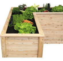 Hochbeet aus Holz bepflanzt mit Salat, Karotten, Petersilie und Rosmarin