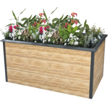 Holzfarbener Pflanzkasten mit verschiedenen Blumen