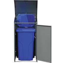 Mülltonnenbox mit zwei blauen Mülltonnen und einer Tür.