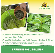 Neudorff Brennnessel Pellets Anwendung und Brennnessel im Garten