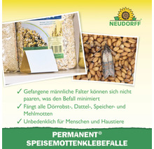 Permanent Speisemottenklebefalle mit Lebensmittelmotten in Getreide und Neudorff Logo