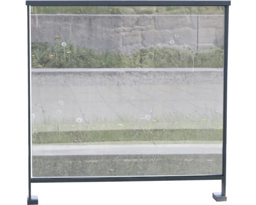 Glasscheibe für Pertura transparent