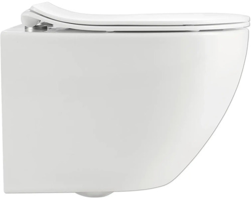 Wand-Tiefspül-WC mit WC-Sitz