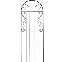 Metall Rankhilfe mit geschwungenem Design