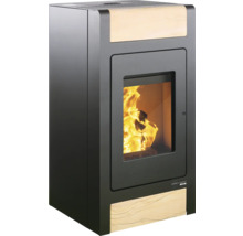 Kaminofen mit Flamme im Brennraum