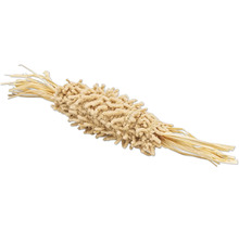 Getrocknete Lagurus Pflanze