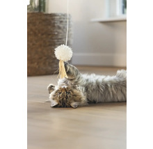 Eine Katze liegt auf dem Rücken und spielt mit einem Spielzeug.